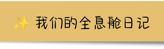 全息